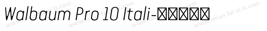 Walbaum Pro 10 Itali字体转换